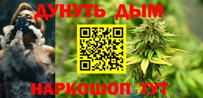 молекула духа Будённовск