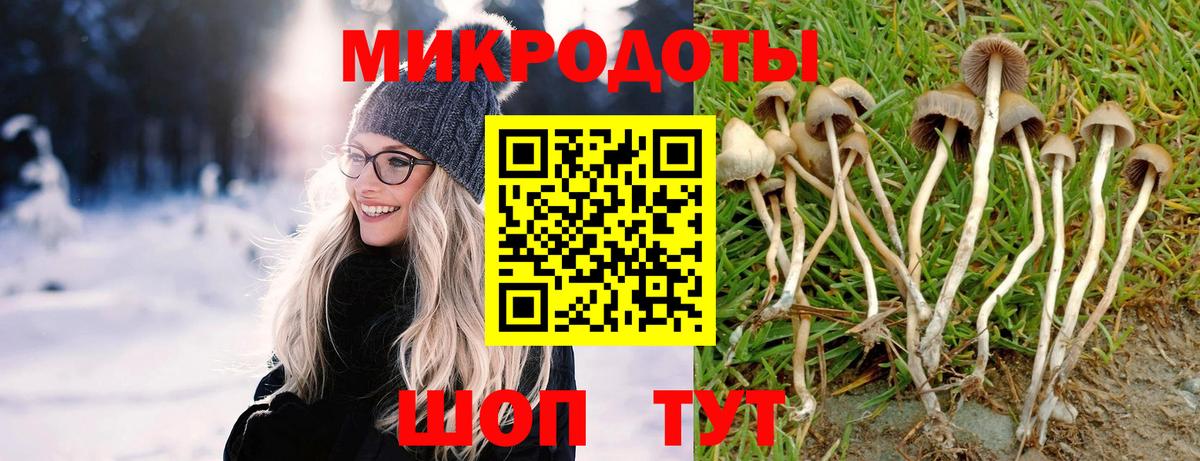 Североуральск  Галлюциногенные грибы Magic Shrooms  Вход с VPN  Галлюциногенные грибы мухоморы 